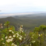 Ausblick vom Mount Magog